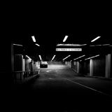 Dante - The Madness