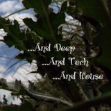 ...And Deep And Tech And House