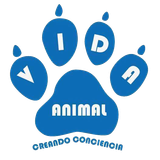 VIDA ANIMAL - Los animales de consumo en Ecuador