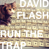 David Flash - Run The Trap