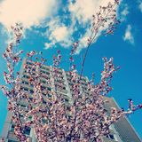 LyrixDelirium 03.04.2016