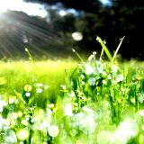 djpimplord_d-constructed #58 'Morning Due'