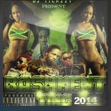 BASHMENT MIX 2014/2015 BY(DJ @TICKZZYY)
