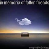 In Memoria Of Fallen Friends
