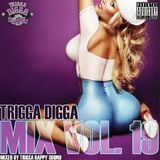 TRIGGA DIGGA MIX VOL. 19