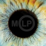 MusicLoversPlaylist#18 - SBTRKT, Ambassadeurs, Hatus Kaiyote, Blockhead, FKJ, FRIS, Jack Garrett, YK