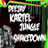 JUNGLE SHAKEDOWNMIX