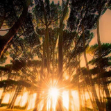 Freund der §onnE - the SUN rises & the Darkness goes 04.01.14