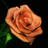 To All The Ladies @ 115bpm (23-07-2012)