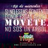 Programa N18
