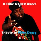 A Tribe Called Quest - Tribute to Phife Dawg