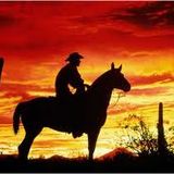 Bon voyage cowboy !