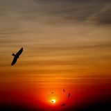 'Smooth Soaring' Liquid Drum & Bass Mix