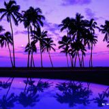 DJ Charlie Walkrich - Summer 2012 Top 40 Dance & Hip Hop Mix