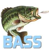 LOUD NOISIES !!!!