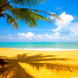 DJ L - Summer Time Vibes 2015