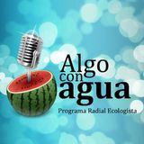 Programa 6 - 20/12/2011