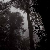LeYan - Four Notes Melancholic Mix