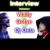 Interview between Wally_aka_Gotye and djOela