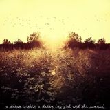a dream within a dream (my girl and the summer)