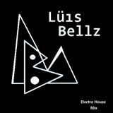 Electro House Mix