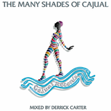 The Future Sound Of Chicago Vol.Two Mixed By Derrick Carter