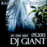 DJ Giant - Back In Da Jungle - Drum and Bass Mix - 05-2013