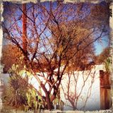 BobNod #19 (songs for a Sunday)