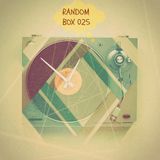 R.I.S.A - Random Box 025