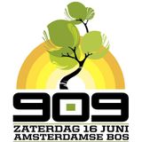 909 Festival - 02 - Josh Wink (Ovum Records) @ Amsterdamse Bos - Amstelveen (16.06.2012)