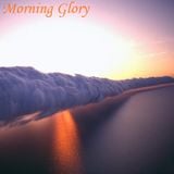 Morning Glory
