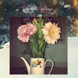 welcome, spring!