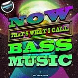 Various Artists - Now Thats What I Call Bass Music (Album MegaMix) *Free Download*