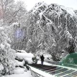 Winter 2014 Pop House Selection