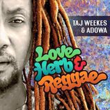 Reggae Revolution 3-8-16