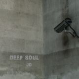 Deep Soul Tech_JD november 2012