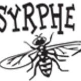 Syrphe 2° partie