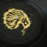 reckless - dubstep disko