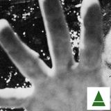 The Advisory Circle: PIF Mixtape for FANGORIA