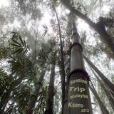 Session Trip Malaysia