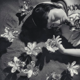 wild strawberries