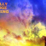 Agent Orange - Totally Orange Morning