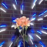 Beautiful Future