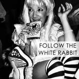 Follow the White Rabbit