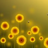 Cafe Blog số 8 - Hướng dương nở rộ trong mùa gió ấm - Mai Thảo