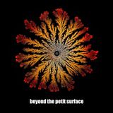 Beyond The Petit Surface