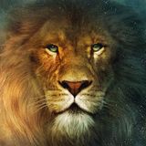 Rhema Talk Podcast Episode 10-Seek The Kingdom