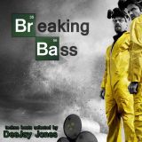 Breaking Bass