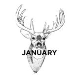 J A N U A R Y