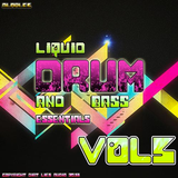 Various Artists - Liquid D&B Essentials 2013 Vol.5 (Album MegaMix)
